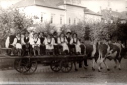 1958 - szüreti felvonulás - 10