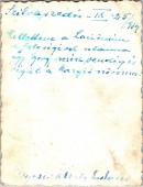 Szilvaszedés