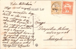Bárány-szálloda és kir. járásbiróság. Karczag.