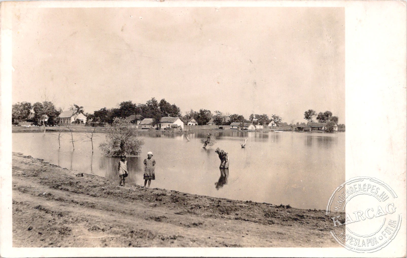 Tiszabura - Tórészlet.