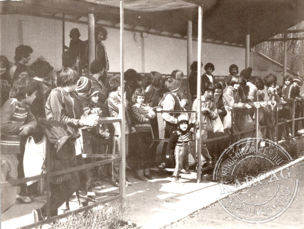 Városi tájfutó bajnokság 1980 - 11