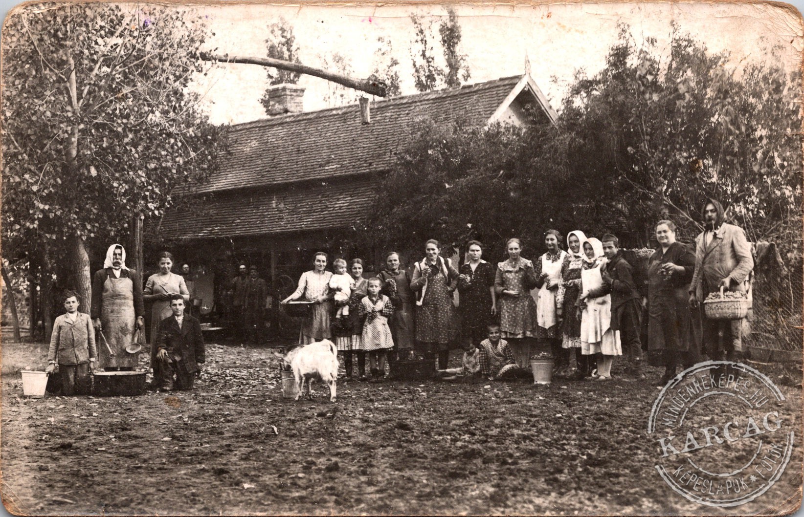 Szüret után