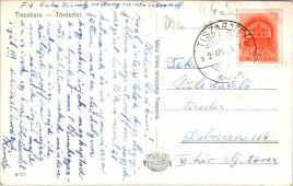 Tiszabura - Tórészlet.