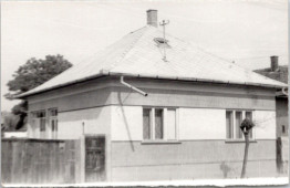 A Hamar-féle ház