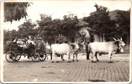 Szüreti felvonulás - Karcag