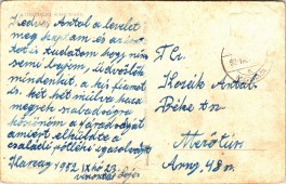 ÜDVÖZLET KARCAGRÓL