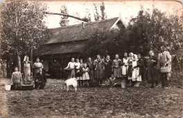 Szüret után